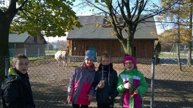 zoo 14